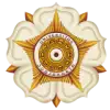 image (10)